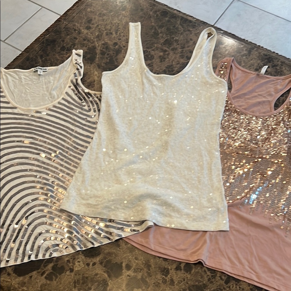 Express Sequin Striped Tank Top